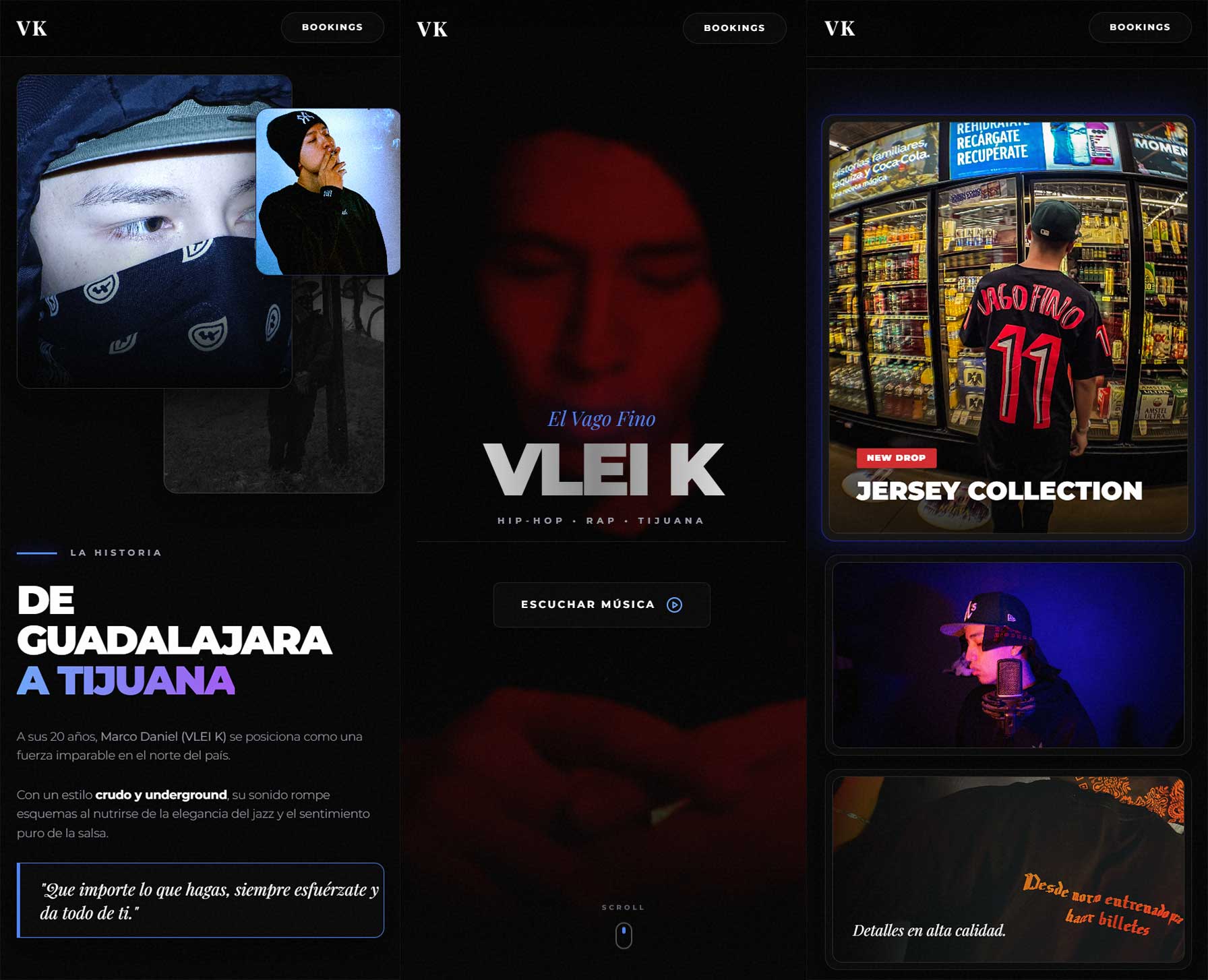 Vleik Web
