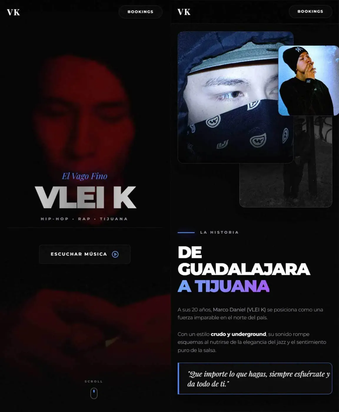 Vleik Web Detail